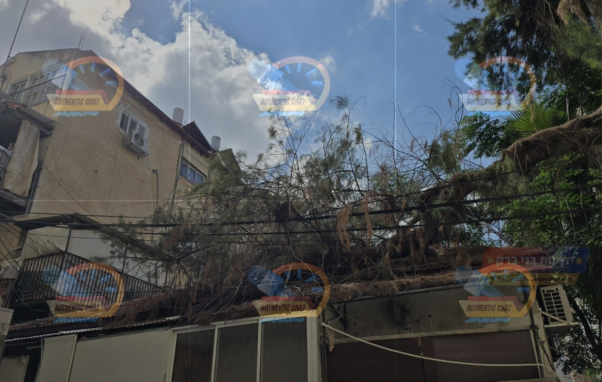 98839264-6143-48e6-a3d4-efb1e76db11e-image.png