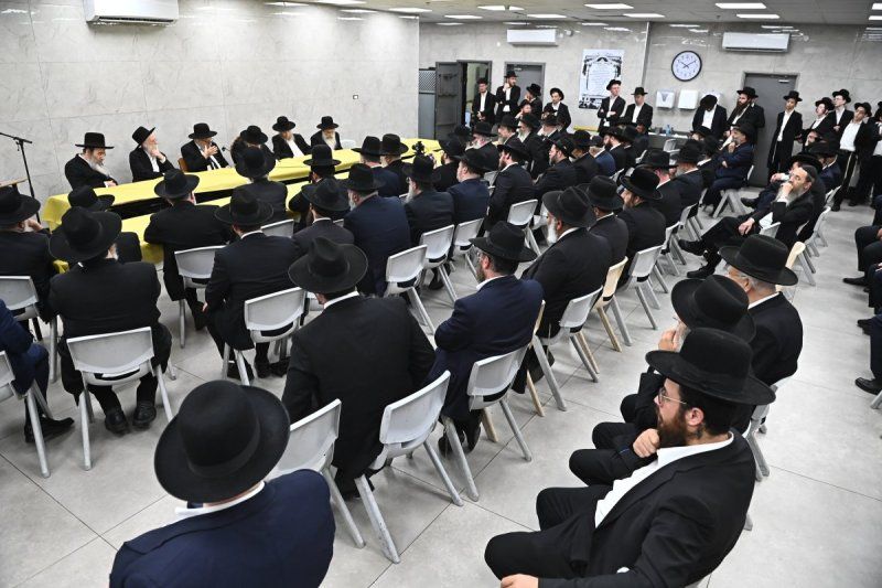 dd1ffe72-ad94-466f-92eb-7661abd12337.jpg