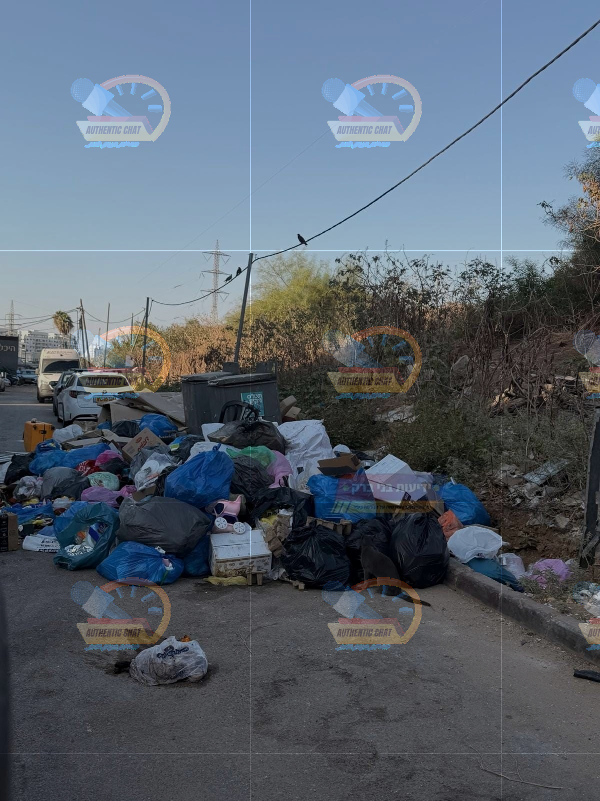 c6f84978-6385-472e-bdf4-80de530bfc9f-image.png